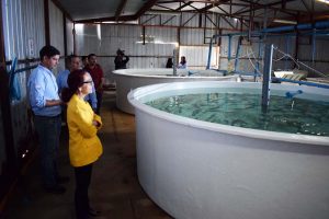 Cierre FIC Ostión Ostra APE 21